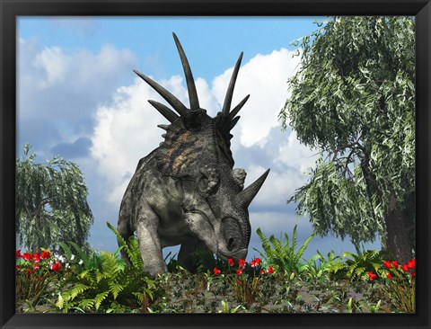 Framed Styracosaurus samples flowers of the order Ericales Print