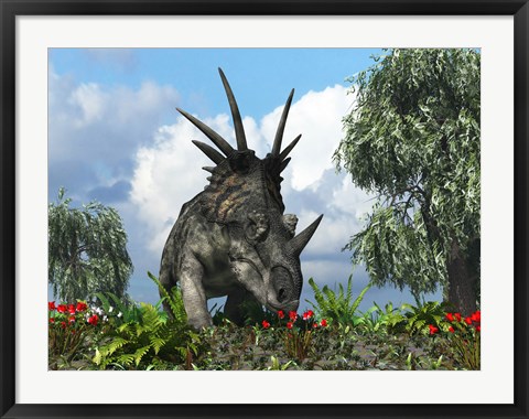 Framed Styracosaurus samples flowers of the order Ericales Print