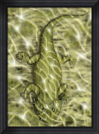 Framed Lanthanosuchus, an extinct genus of parareptile Print