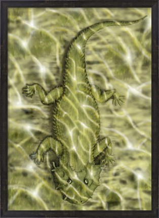 Framed Lanthanosuchus, an extinct genus of parareptile Print
