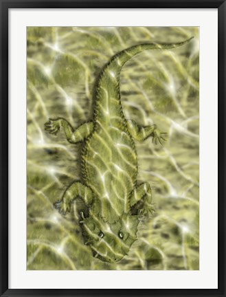 Framed Lanthanosuchus, an extinct genus of parareptile Print