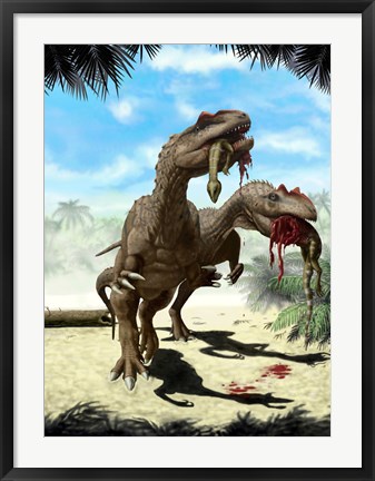 Framed Two Allosaurus with a Hypsilophodon in mouth as next meal Print