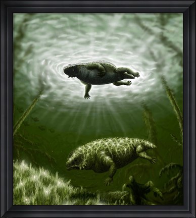 Framed Scutosaurus karpinskii in prehistoric waters Print