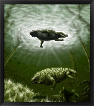 Framed Scutosaurus karpinskii in prehistoric waters Print