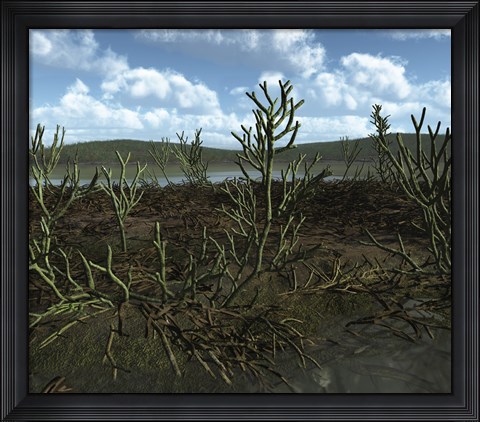 Framed Prehistoric landscape of Silu-Devonian land plants with branching axes Print