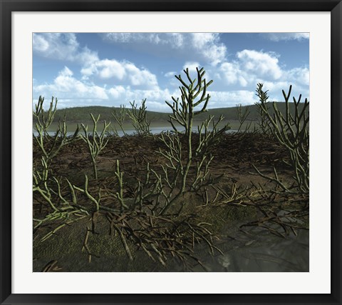 Framed Prehistoric landscape of Silu-Devonian land plants with branching axes Print