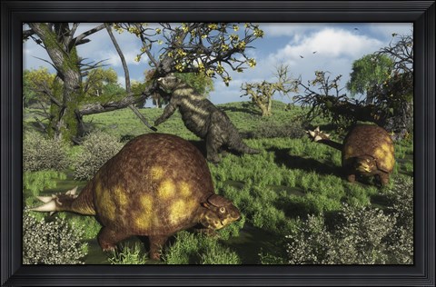 Framed Prehistoric glyptodonts graze on grassy plains An Eremotherium is in the background Print