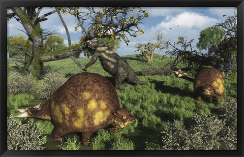 Framed Prehistoric glyptodonts graze on grassy plains An Eremotherium is in the background Print