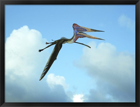 Framed Zhejiangopterus, a genus of azhdarchid pterosaur Print