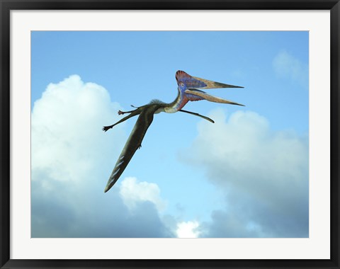 Framed Zhejiangopterus, a genus of azhdarchid pterosaur Print