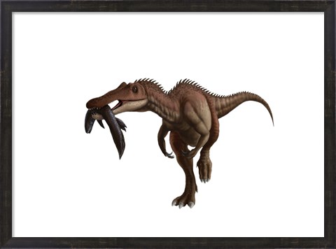 Framed Baryonyx dinosaur with a fish in mouth, white background Print