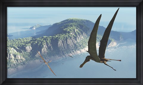 Framed Species from the genus Anhanguera soar 105 million years ago over what is today Brazil Print