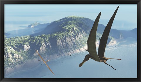 Framed Species from the genus Anhanguera soar 105 million years ago over what is today Brazil Print