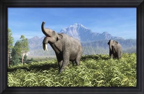 Framed Deinotherium traverse the rolling plains of what is today Europe Print