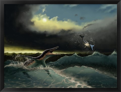 Framed Pliosaurus irgisensis attacking a shark Print