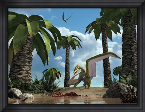 Framed pterosaur flying reptile lands next to some carrion Print