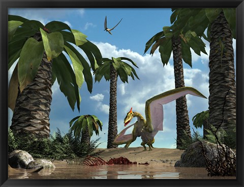 Framed pterosaur flying reptile lands next to some carrion Print