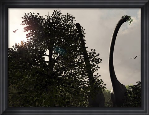 Framed pair of Sauroposeidon feed on the leaves of an American Sycamore Print
