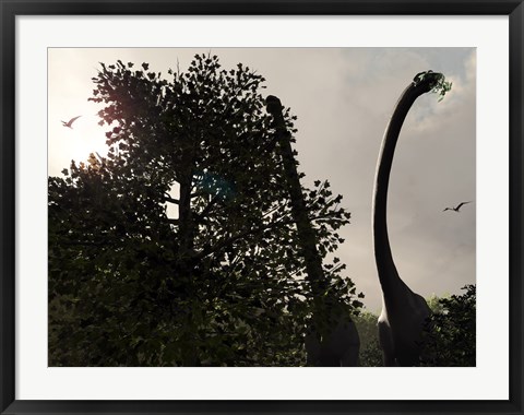 Framed pair of Sauroposeidon feed on the leaves of an American Sycamore Print