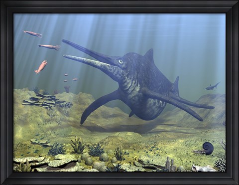 Framed massive Shonisaurus attempts to make a meal of a school of squid-like Belemnites Print