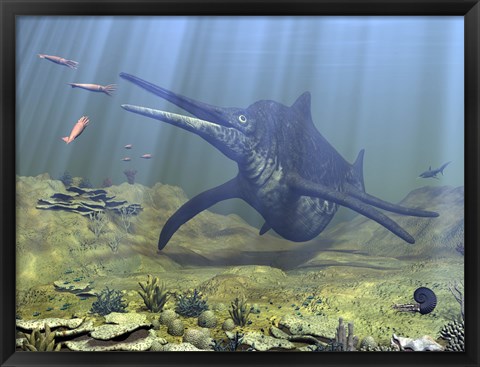 Framed massive Shonisaurus attempts to make a meal of a school of squid-like Belemnites Print