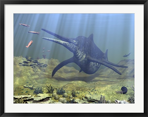 Framed massive Shonisaurus attempts to make a meal of a school of squid-like Belemnites Print