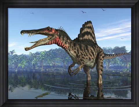 Framed Spinosaurus searches for its next meal Print