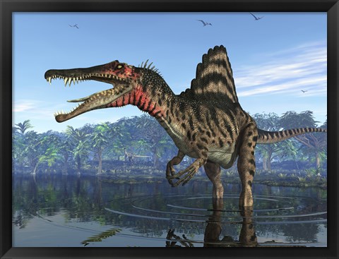Framed Spinosaurus searches for its next meal Print