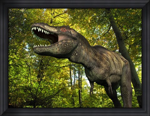 Framed Tyrannosaurus wanders a Cretaceous forest Print