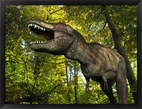 Framed Tyrannosaurus wanders a Cretaceous forest Print