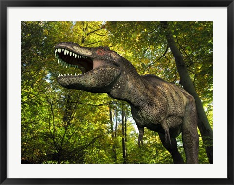 Framed Tyrannosaurus wanders a Cretaceous forest Print