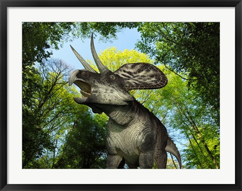 Framed Zuniceratops wanders a Cretaceous forest Print