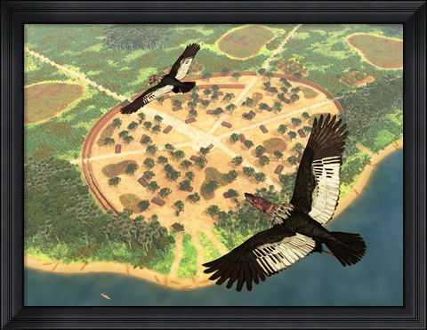Framed pair of Andean Condors fly over an Amazonian village Print