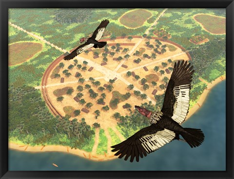 Framed pair of Andean Condors fly over an Amazonian village Print