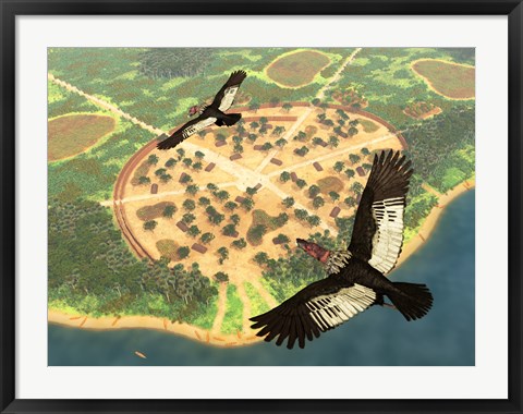 Framed pair of Andean Condors fly over an Amazonian village Print