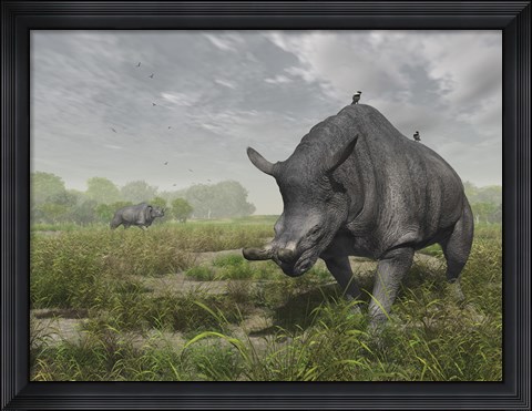 Framed Brontotherium wander the lush late Eocene landscape Print
