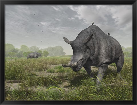 Framed Brontotherium wander the lush late Eocene landscape Print