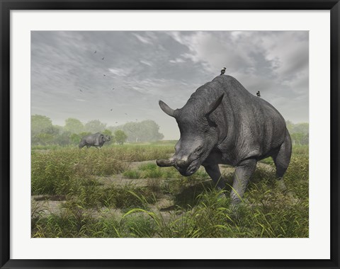 Framed Brontotherium wander the lush late Eocene landscape Print