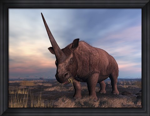 Framed Elasmotherium grazing Print