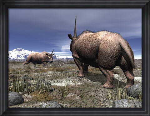 Framed pair of male Elasmotherium confront one another Print