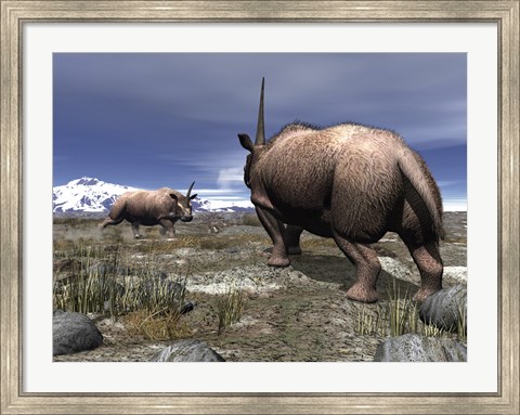Framed pair of male Elasmotherium confront one another Print