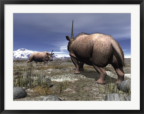 Framed pair of male Elasmotherium confront one another Print