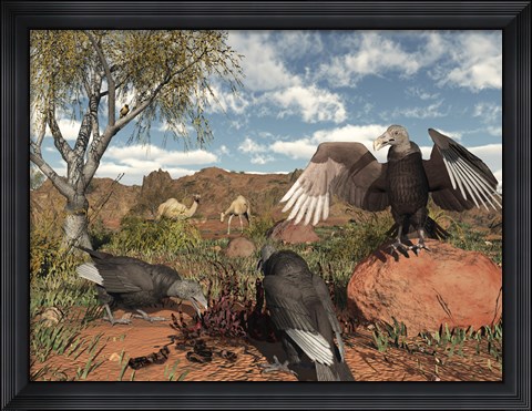 Framed Pleistocene Black Vultures feed on carrion Print