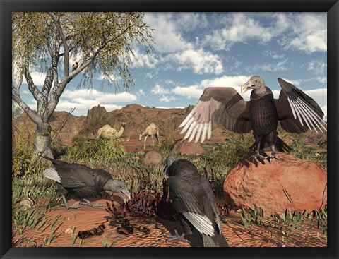 Framed Pleistocene Black Vultures feed on carrion Print