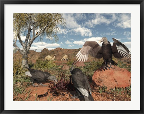 Framed Pleistocene Black Vultures feed on carrion Print