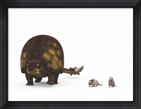 Framed Doedicurus glyptodont compared to modern armadillos Print