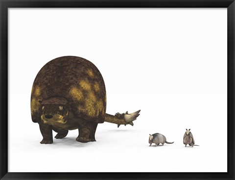 Framed Doedicurus glyptodont compared to modern armadillos Print