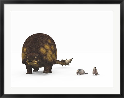 Framed Doedicurus glyptodont compared to modern armadillos Print