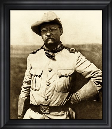 Framed Colonel Theodore Roosevelt Print