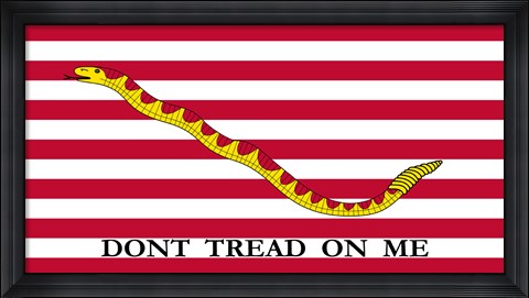 Framed Don&#39;t Tread on Me Print